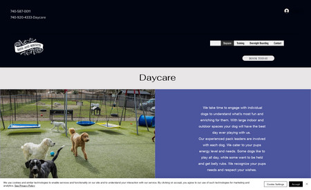 Doggy Daycare Center: 
