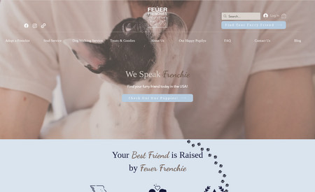 Feuer Frenchies: Feuer Frenchies came to us with a bland website that wasn't attracting nor converting the dog lover site visitors it was looking for. We helped Quinten rebrand by working through various color palettes till we selected the perfect colors for the website. We then moved onto the fonts. These fonts were chosen to both evoke comfortability and credibility, while be fun and unique. 
A sitemap was created to understand the page structure of the website, along with which sections connected to other pages via buttons/links. A wireframe was then constructed to write out the text in colorless blocking to help visualize the layout and content for each of the pages on the website. 
Then Webryact began designing the website on Wix and was able to incorporate various design techniques to embed a lot of written content to explain the history and answer any questions a dog owner may have, while being visually pleasing. We were tasked with copywriting all of the content on the website, using variety of reputable sources to become subject matter experts. 

We also developed a variety of shop pages, one being for adopting the puppies and other for the bones and treats Feuer Frenchies has to offer. That being said, we equipped the website with product pages and collection pages that described the product in more depth to help with conversion rates. Furthermore, we designed many policy pages to ensure the business is in compliance. 

Ultimately, we were able to support Quinten and Feuer Frenchies redesign their website using a more user friendly and unique design to help attract those dog lovers and help them find their furry friends.