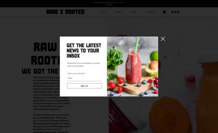 Raw X Rooted - SEO & Web Design: Web Design & SEO for a smoothie e-commerce company.