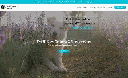 Willos Doggy Sitting: Website Design