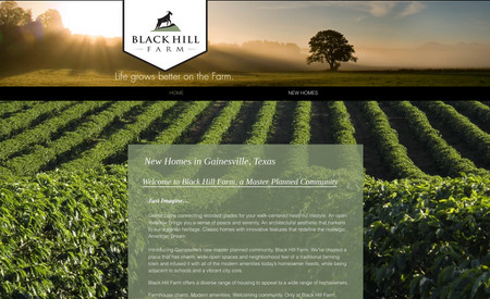 black-hill-farm: We designed this website to actually look a little "behind the times" as per the client request. This website is for an "agrihood" land development in North Texas. One of just over a dozen in the USA at the time.
