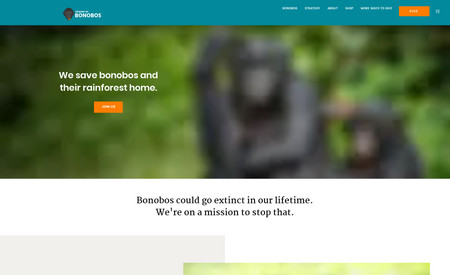 Friends of Bonobos: undefined
