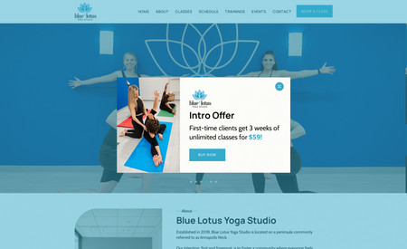 Blue Lotus Yoga: Custom Website/Custom Database for yoga studio