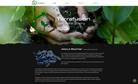 Terrafusion: Simple single page site plus logo design for company in the horticultural field. 