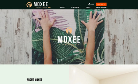 MOXEE: We helped with the design of this website. It is considered a classic website design with advanced booking features. 