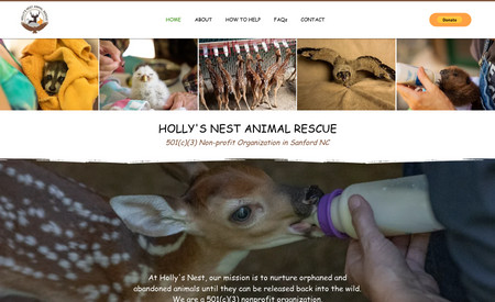 Holly's Nest Animal Rescue: Redesign, Support