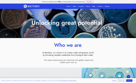 Bactobio: Brand Identity and Website Design