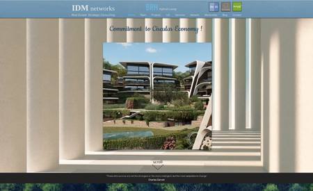 IDM Networks: Optimización SEO & Estructura web