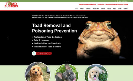 Toad Busters - Website Design: Website design for Toad Busters in Southeast Florida.