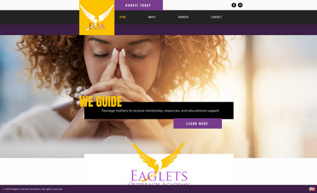 Eaglets Outreach Academy: The mission of Eaglets Outreach Academy, Inc. is to provide life skills training and educational resources to young woman so that they can lead prosperous and healthy lives for themselves and their children.
