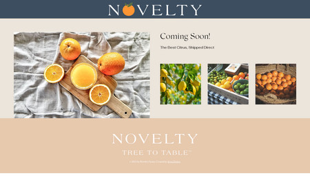 Novelty Farms: An upcoming specialty fruit delivery service needed a landing page and support to begin building its brand before the official launch later in 2023.