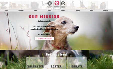 Secondhand Hounds - Non-Profit: This non-profit is currently using a third-party service to maintain all of their animals for Foster and Adoption. The iframe that the program embedded on their website was not responsive and very hard for the anyone filling out an application. 

We built a separate middleware application to retrieve/update all the animal information in 2-hour increments, then display properly on their website.