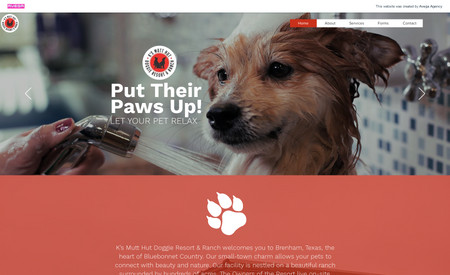 Ks Mutt Hut: Dog Day Care Resort
Media Heavy Website 
Branding Development