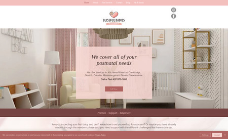 Blissful Babies: Custom Design website, SEO, Automations, GA4, Console, and Tags, Social Media 
