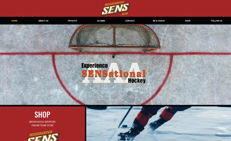 Migration & Redesign - Mississauga Senators: This client had an old Wordpress site. I imported all important information and media, then updated their design/stock photos and installed wix forms for their coaches application.