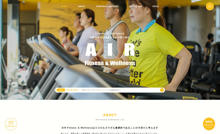 Air Fitness  & Wellness: 