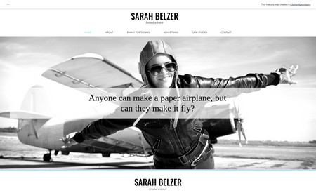 Sarah Belzer Co.: Stupid-Good Stuff.