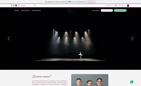 Pointé Academia de Danza: Academia de Danza Ballet, en México