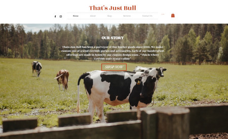 That's Just Bull: Fahl Designs designed the That's Just Bull E-Commerce site back in 2019. So far Monica has sold products in many different countries!