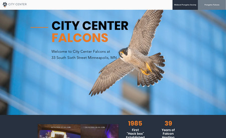 City Center Falcons: Website design for City Center Falcons