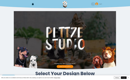 Pettze Studio: I have created a mix of custom and built in Wix Store for Pets products. I created an interactive User Interface for customers to buy their desired products with different variants. The smooth selection of product and choices at each stage made the user experience even more awesome.