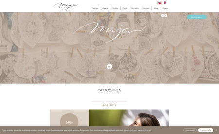 Tattoo Mija: Redesign and website development, including complex reservation process, several contact froms, robust CRM within Wix platform. Complete SEO (top 3 SERP on our top keywords), and additional ongoing Google Ads and Social PPC campaign management.