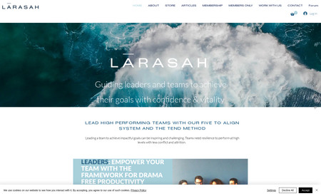 LARASAH: Webdesign | Web design