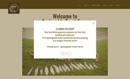 Springside Trout: We designed a simple one-page website for this local company offering trout fee fishing.  It has a minimalist design, an easy-to-use layout, and a warm outdoorsy color theme.