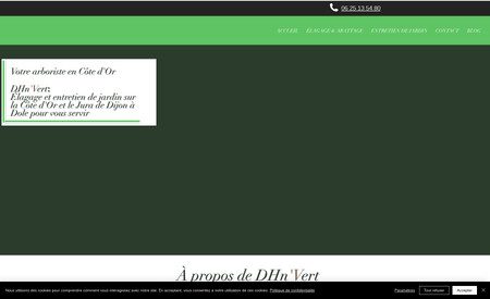  DHn'Vert: Création du site internet pour l'entreprise DHN'Vert : Élagage, abattage et entretien de jardin proche de Dijon sur la Côte d'Or. 
