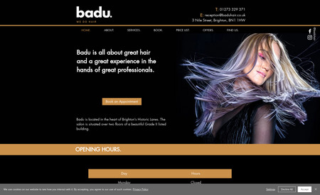Badu Hair: A Brighton Hair Salon Website