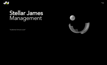 Stellar James Mgt: website design and development on editor x

all content and direction provided by client