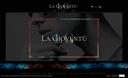 La Gioventù: High-end online store for a brand new fashion label. This sleek site contains handcrafted &quot;abstract&quot; artwork set against a modern black &amp; white design. For this client we developed the brand, designed the imagery and built the website.