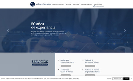Vizhñay, Asociados: Web design, digital marketing service, branding, social media, graphic design and consultancy