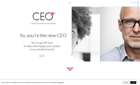 CEO2: Website redesign.