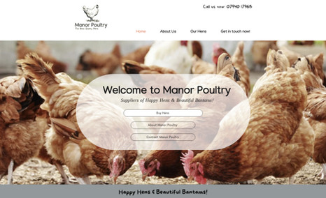 Manor Poultry Manor Poultry is a professional chicken breeder ba...