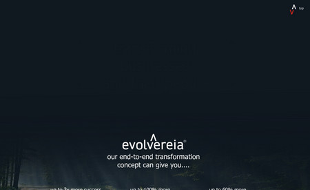 evolveria: Completely bespoke site bukilt from scratch for a business consultancy company.