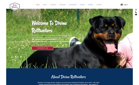 Divine Rottweilers: 