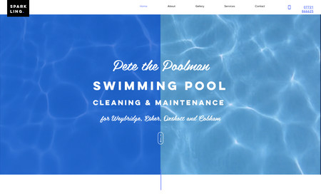 Pete The Poolman: Pete services pools for the rich and famous - designed and built website