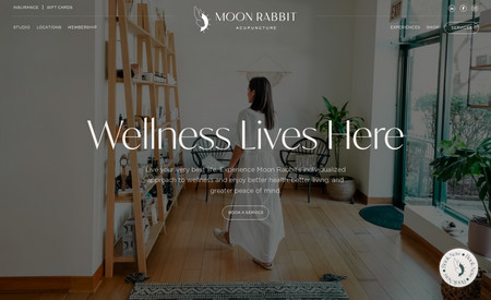Moon Rabbit: UI, UX, Development + Copywriting for boutique wellness brand