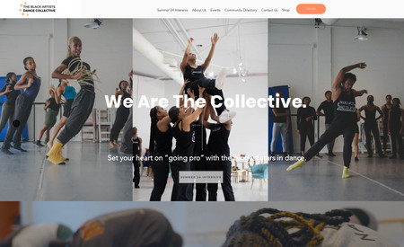 Dance Agency : The Black Artists Dance Collective is the bridge that connects the Atlanta black dance community to the rest of the dance world. 