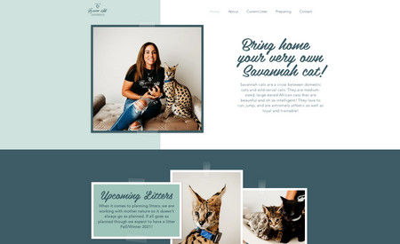 Cat Breeder Website: Website for a breeder that specializes in African Serval Savannah cats.
