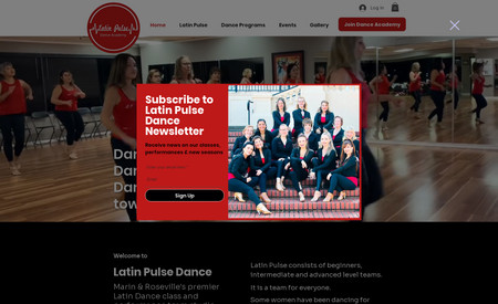 Latin Pulse Dance Academy: Website design and visuals