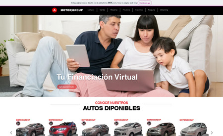 MotorGroup: Rediseño de sitio Wix, Store y catalogo online.