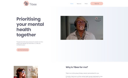 Tibee: New wix website design and build with logo design