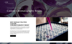 Custom Chroma Resins Web Design