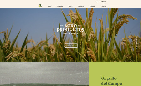 Agro Productos Selectos: In Mexico, there are no raw materials as precious as rice, beans, and corn. With 30 years of experience, Agroproductos is responsible for packaging these materials for future distribution at a regional level.

The identified problems of Agroproductos were slightly different from other clients. They were a work in progress; already having an effective branding and overall personality as a baseline, our job was to develop a highly functional website that would allow clients to see their products and differentiate the brand.