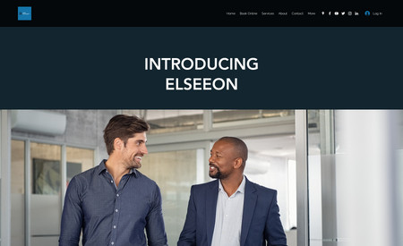 Elseeon: A Example Of A Business portfolio being our own.