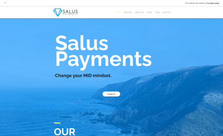 Salus Payments: High risk merchant account provider located in San Diego, CA.