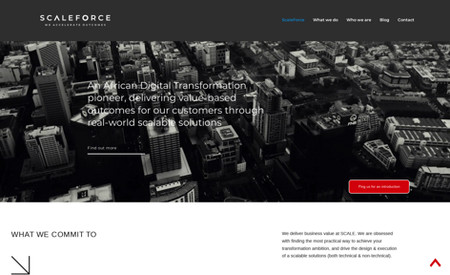 ScaleForce: Website Design 