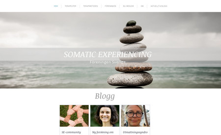 Somatic Experience (community): The community’s goal was to have a replacement for their old web site which was awful to manage. With a list of all therapists stored in a WIX database. We added a filtering feature to the page of therapists using WIX Corvid coding. We trained some persons so they do not have to contact Vanjos when changes are needed on the site, they can do that themselves.